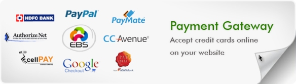 Payment Gateway For Your Website